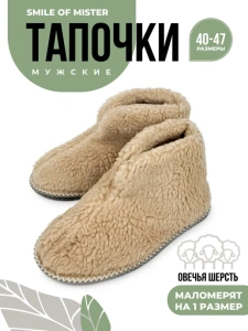 Тапочки домашние мужские А-51-131-11 закрытые  (р.40/41)