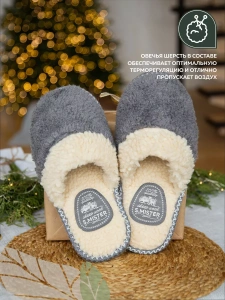 Тапочки домашние мужские А-51-053-12 закрытые  (р.40/41)