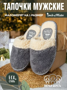 Тапочки домашние мужские А-51-053-12 закрытые  (р.40/41)