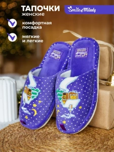 Туфли комнат. жен. DW-C-8-505-06 (р.36)