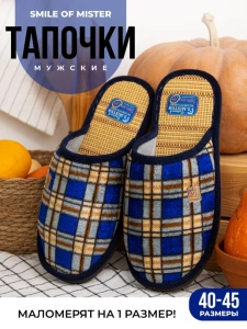 Тапочки домашние мужские А-160-1-02 в клетку закрытые (р.40/41)