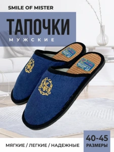 Тапочки домашние мужские А-63 Q-02 закрытые (р.40/41)